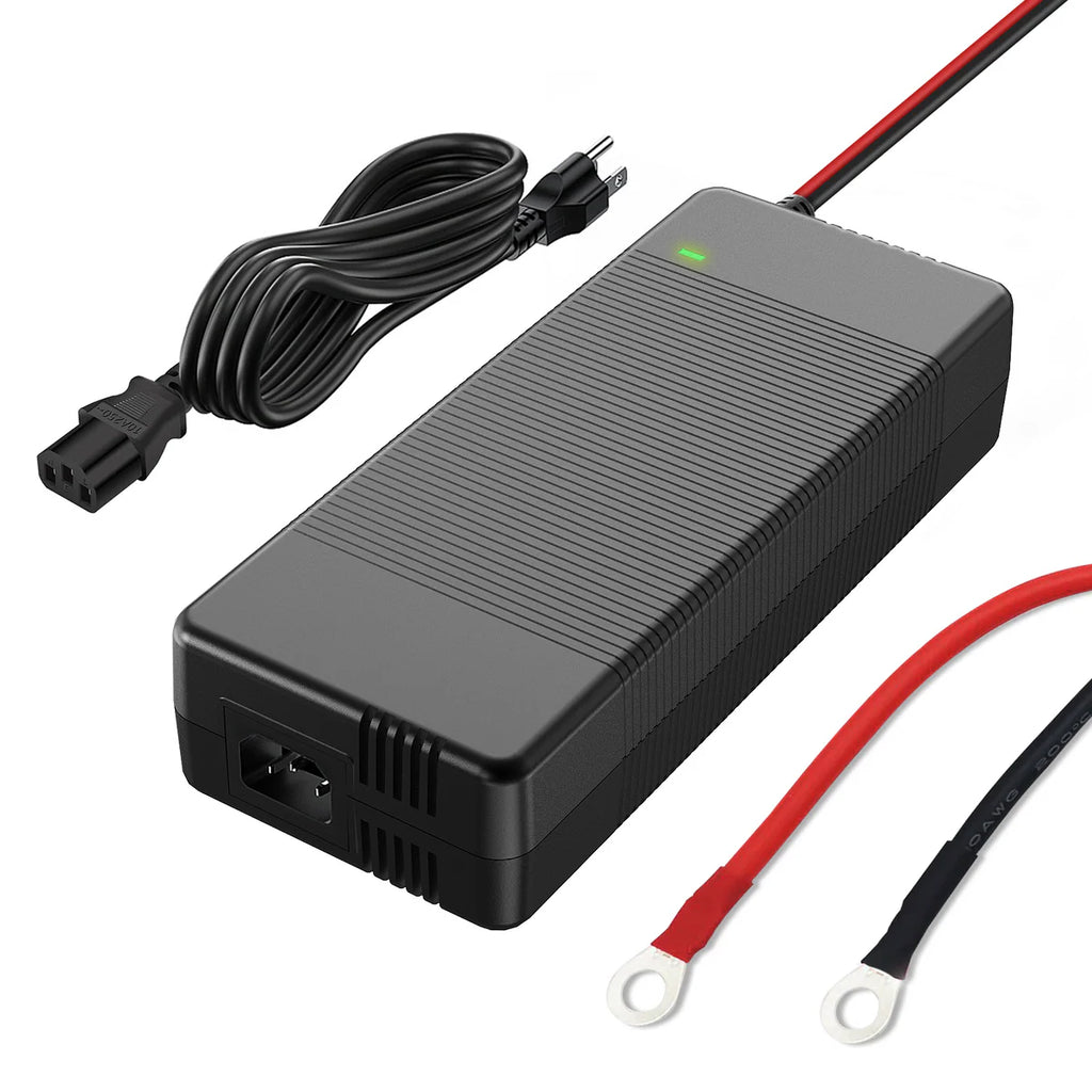 Riverlithium 14.6V 20A LiFePO4 Battery Charger