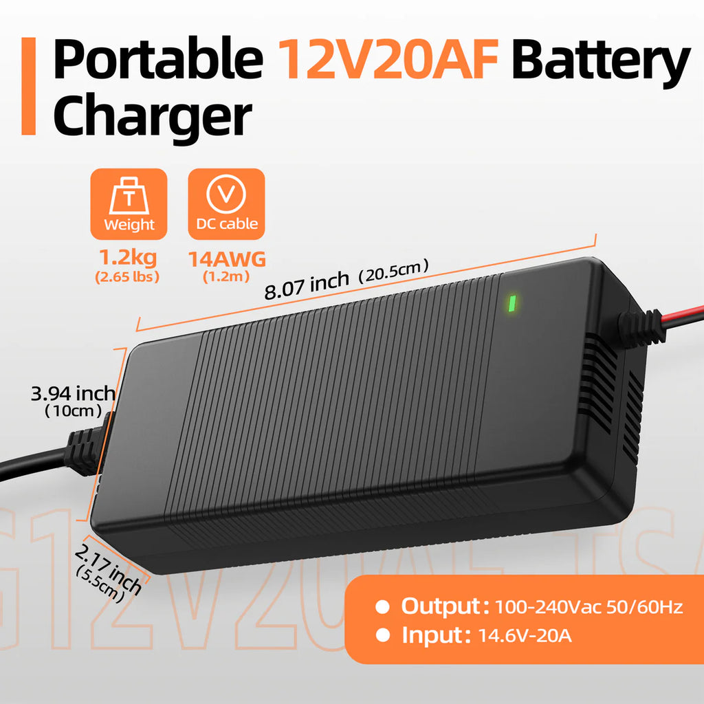 Riverlithium 14.6V 20A LiFePO4 Battery Charger