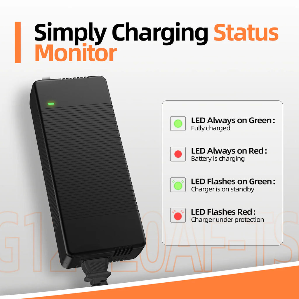 Riverlithium 14.6V 20A LiFePO4 Battery Charger