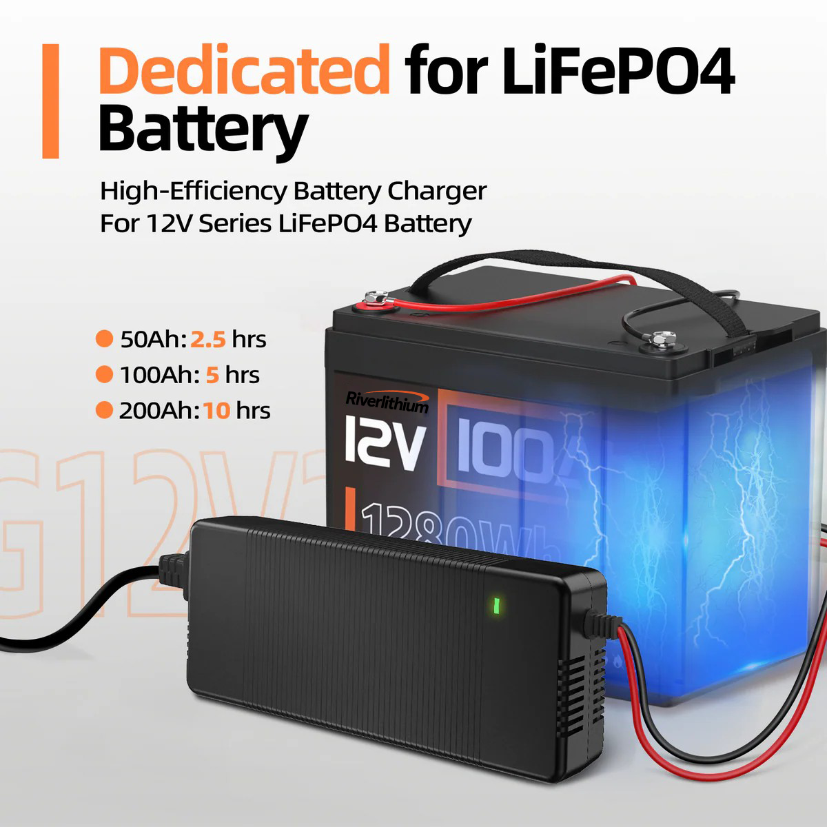 Riverlithium 14.6V 20A LiFePO4 Battery Charger