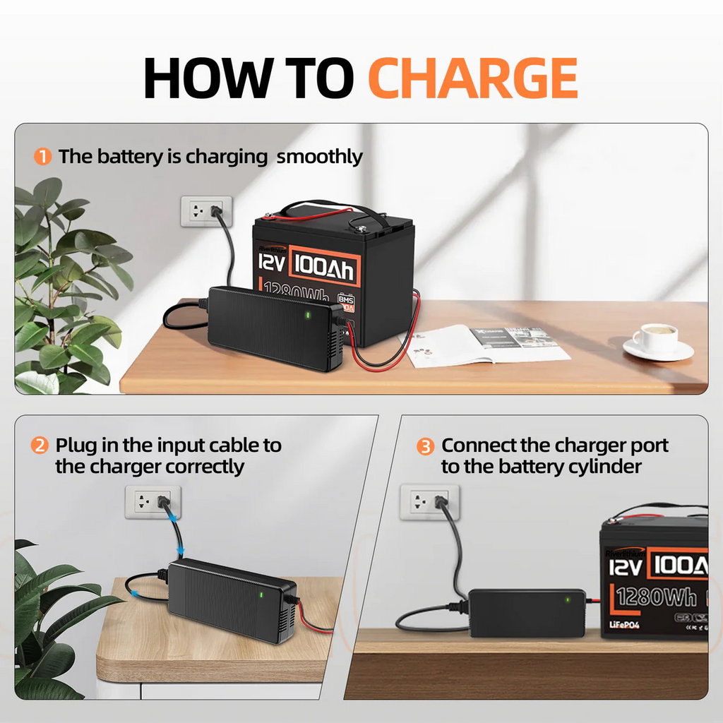 Riverlithium 14.6V 20A LiFePO4 Battery Charger